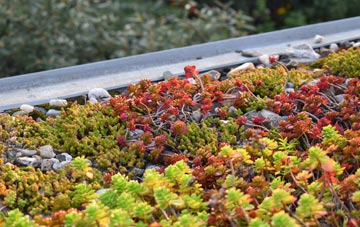 the cost of Ballochgoy green roof installation