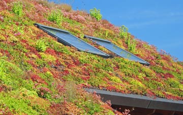 Ballochgoy living roof systems